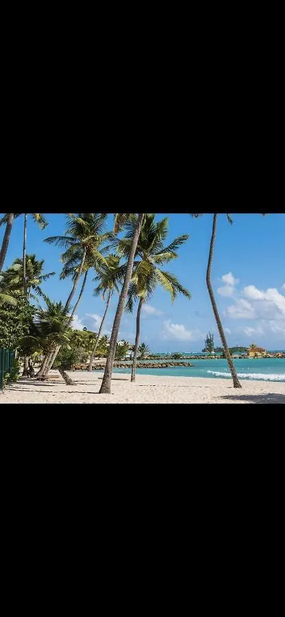 Studio Monoi Apartment Le Gosier  Guadeloupe