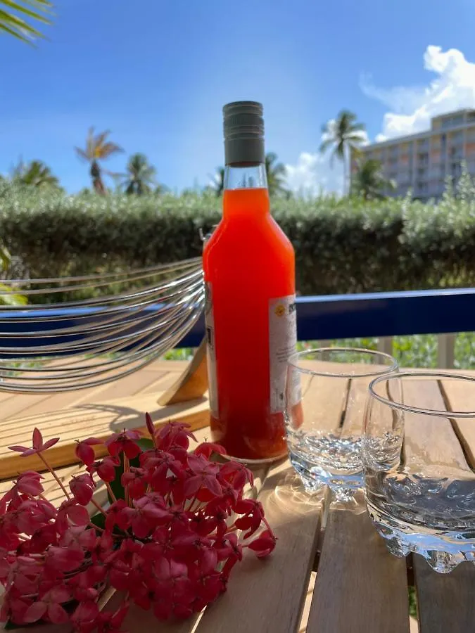 Studio Monoi Apartment Le Gosier  Guadeloupe